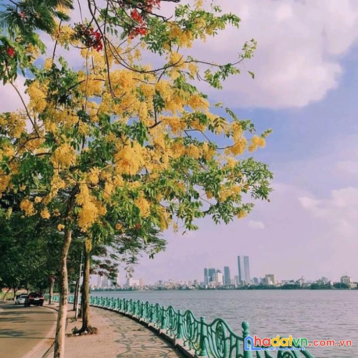 Cho thuê mbkd phố thụy khuê sầm uất - kinh doanh đa dạng - khu vực đẹp nhất phố