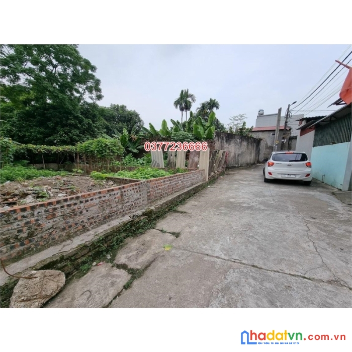 Nhỉnh 2 tỷ, chủ gửi bán 61.9m đất đẹp trung tâm cổ dương, tiên dương, đông anh