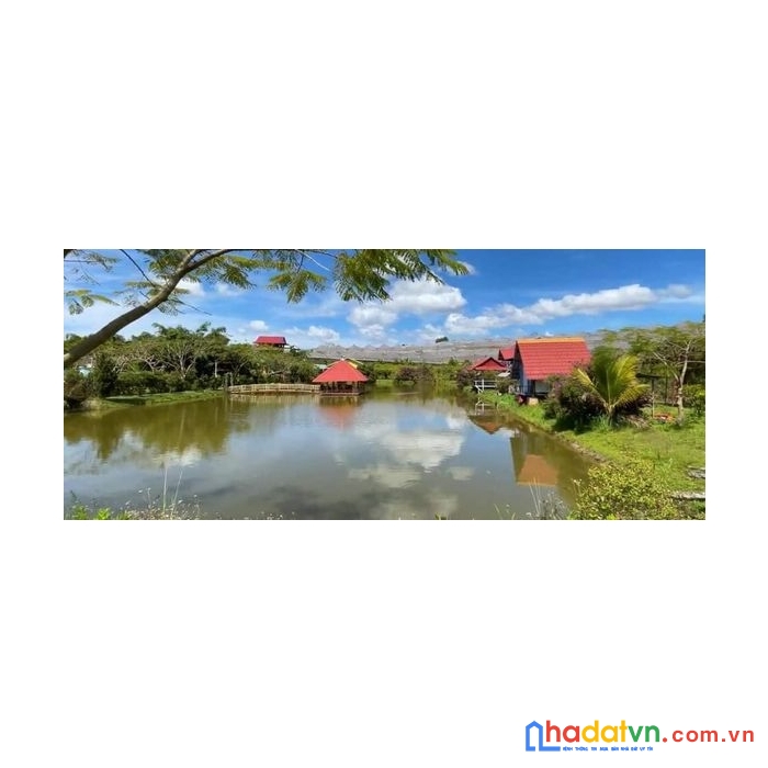 ( loa loa ) chủ cần bán gấp khu du lịch nghĩ dưỡng tại tà nung, đà lạt