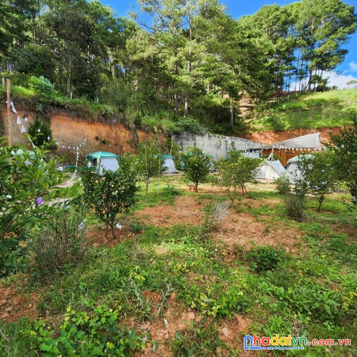 ( đất rộng view đẹp đây ) cần bán gấp lô đất view đẹp đường mimoza, đà lạt 21.000m2 giá 3.2triệu/m2