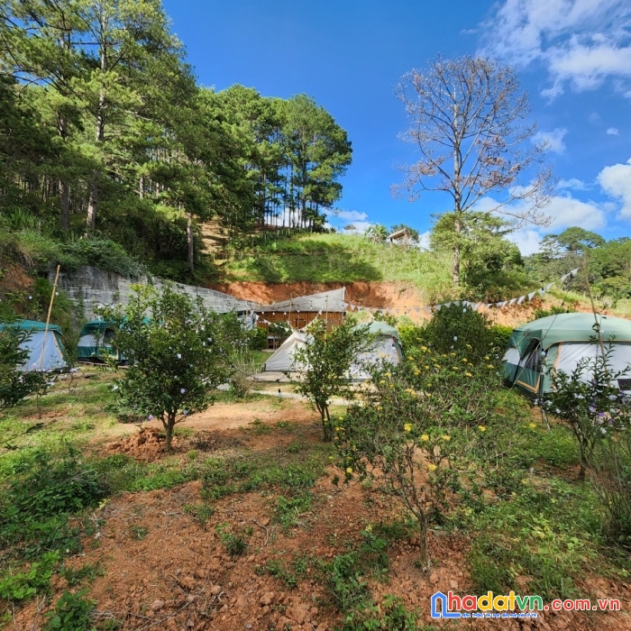 ( đất rộng view đẹp đây ) cần bán gấp lô đất view đẹp đường mimoza, đà lạt 21.000m2 giá 3.2triệu/m2