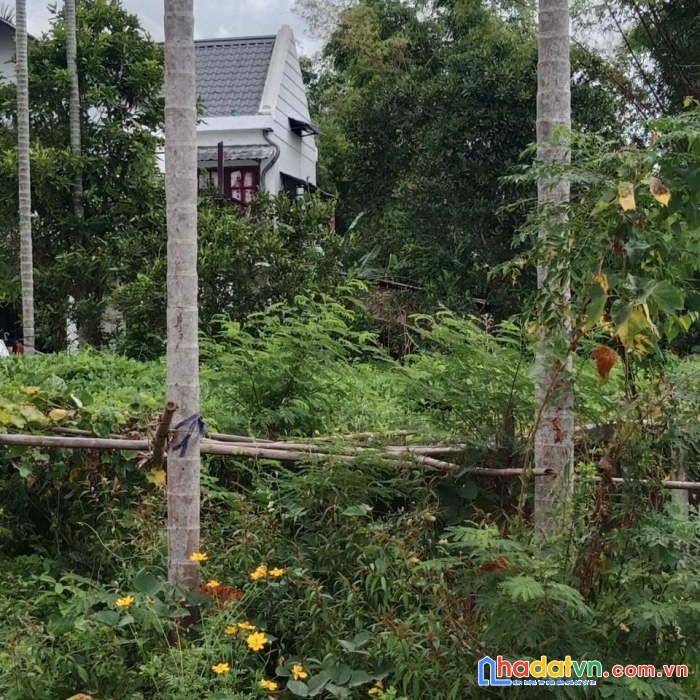 Chính chủ bán  lô đất đẹp vị trí đắc địa tại duy phước - duy xuyên - quảng nam