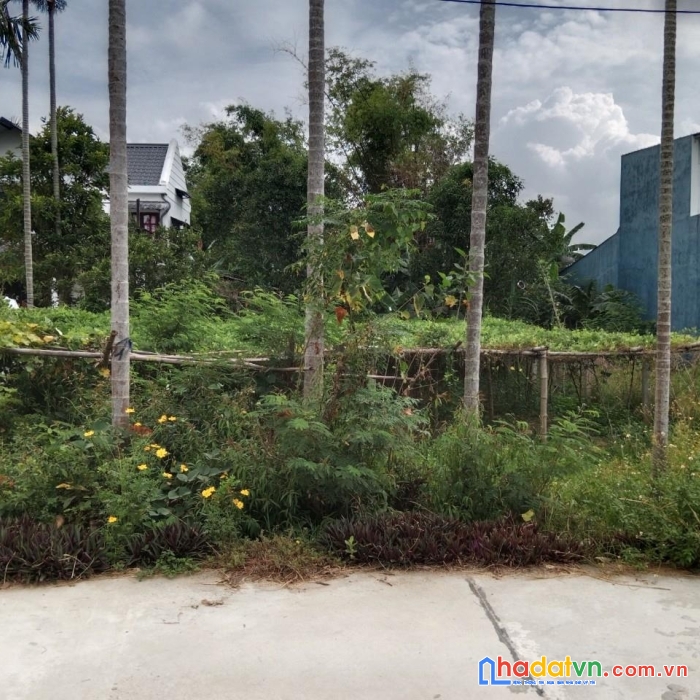 Chính chủ bán  lô đất đẹp vị trí đắc địa tại duy phước - duy xuyên - quảng nam