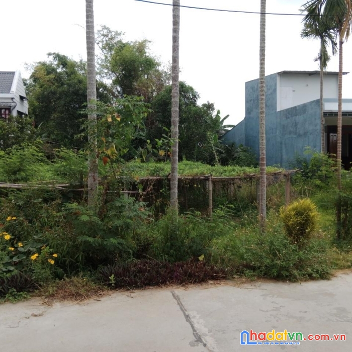 Chính chủ bán  lô đất đẹp vị trí đắc địa tại duy phước - duy xuyên - quảng nam