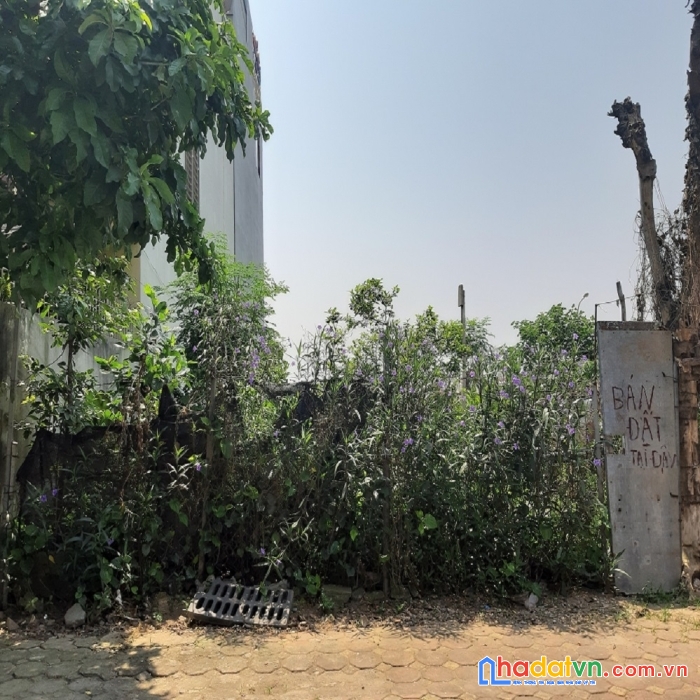 Bán 31m2 đất trâu quỳ, gia lâm. đườn ô tô. 1 tỷ x. lh 0398381708.