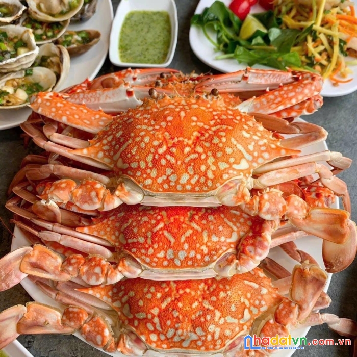 Nhà hàng cát biển - điểm hẹn dành cho khách du lịch nghỉ dưỡng