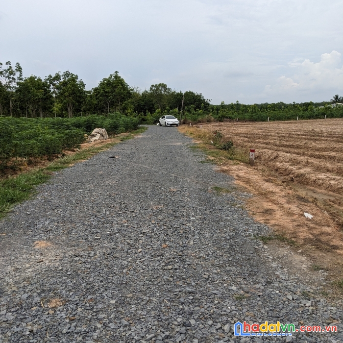 Đầu tư đất vườn sổ riêng tây ninh - chào đón sự giàu có và thịnh vượng chỉ với 378 nghìn / m2