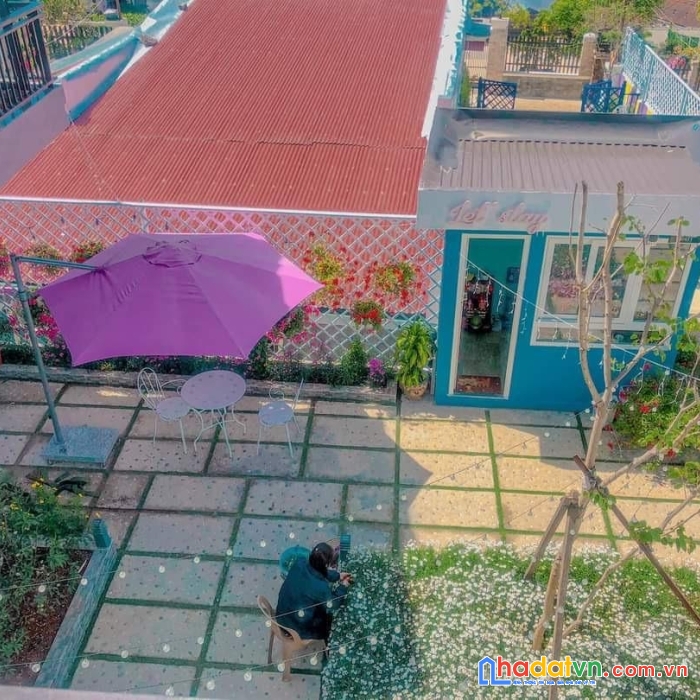 Chính chủ cần bán homestay giá cực rẻ tại phường 8, tp đà lạt, lâm đồng.