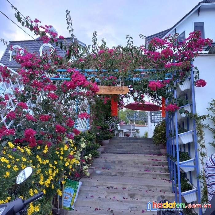 Chính chủ cần bán homestay giá cực rẻ tại phường 8, tp đà lạt, lâm đồng.