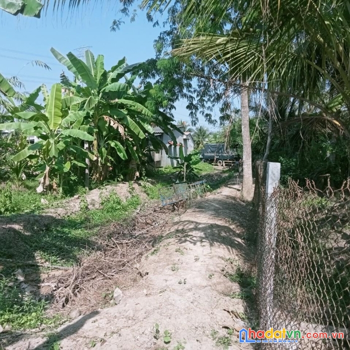 Chính chủ bán  đất cln vị trí đẹp tại xã long định, châu thành, tiền giang