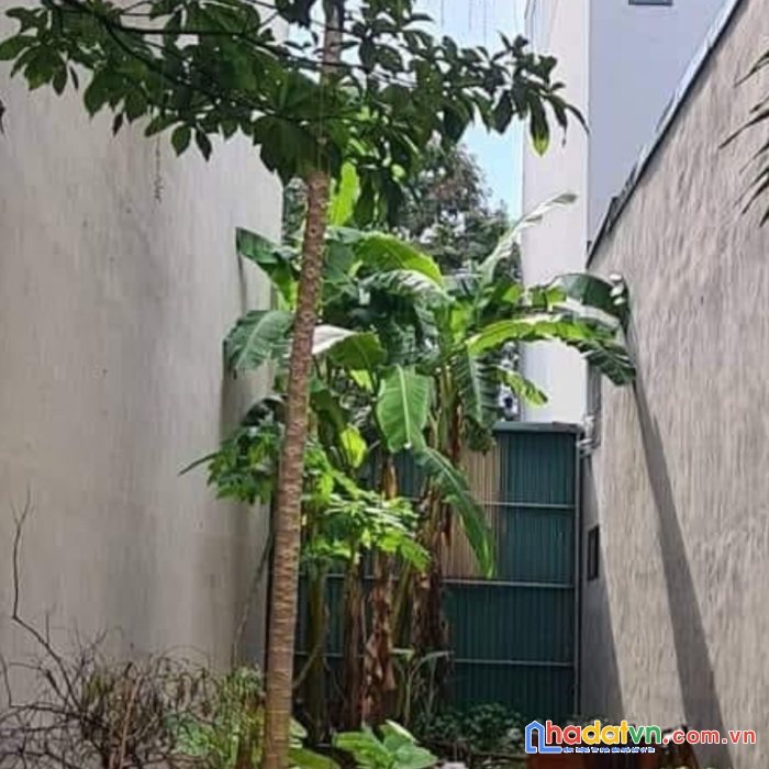 Bán đất  hàng bè kiến hưng 50m2 mt 4m chỉ hơn 5tỷ ô tô vỉa hè kdoanh