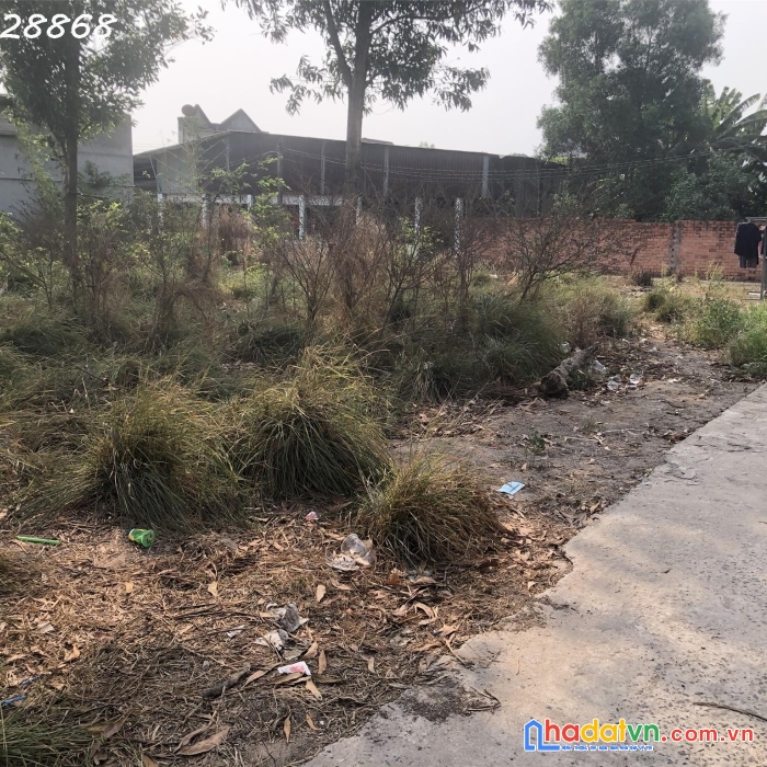 Bán đất phước thái, 100m2, full thổ cư, gần chợ, giá chỉ 1 tỷ x. lh 0908528868