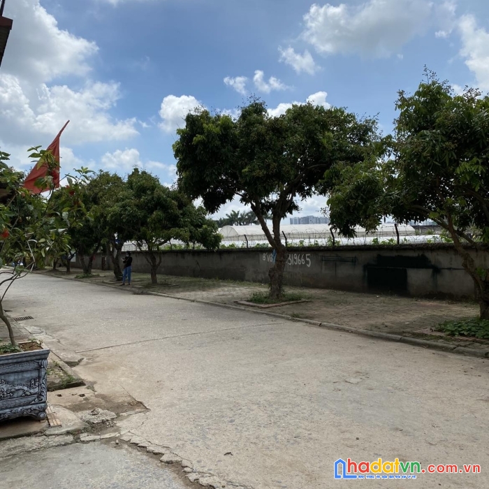 Bán đất trâu quỳ -siêu hiếm 42m2 trục chính viện rau khu a đường 7m có lưu không, vỉa hè. 
