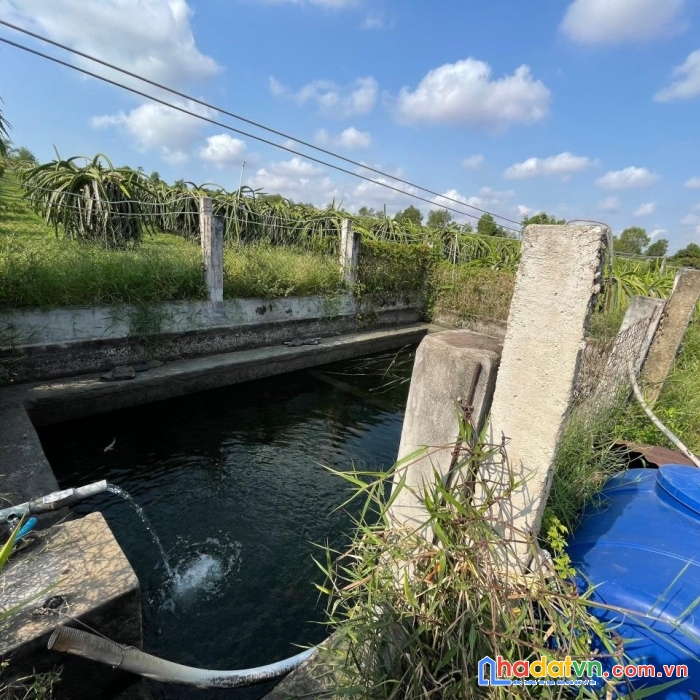 Chính chủ cần bán đất trồng thanh long vị trí đẹp tại xã hàm mỹ huyện hàm thuận nam