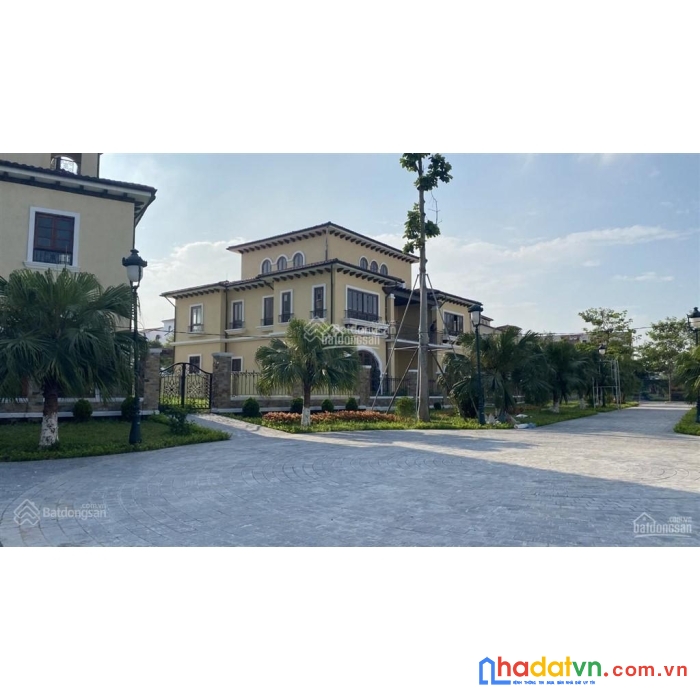 Kinh doanh- shophouse, biệt thự nam an khánh t5/2023. giá 11 tỷ
