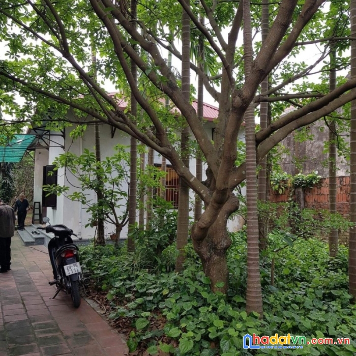 Bán nhà khê nữ diện tích 370 m2 nguyễn khê đông anh chỉ 13,2 tỷ