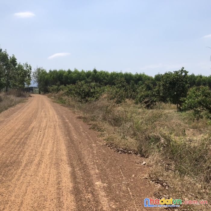 Chính chủ cần bán gấp lô đất giá lỗ ngay tân đức - hàm tân - bình thuận