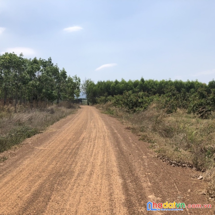 Chính chủ cần bán gấp lô đất giá lỗ ngay tân đức - hàm tân - bình thuận