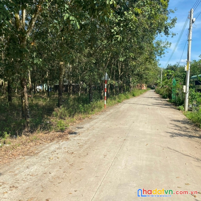 Chính chủ cần tiền gấp bán gấp lô đất nền đầu tư kcn an linh 369m2