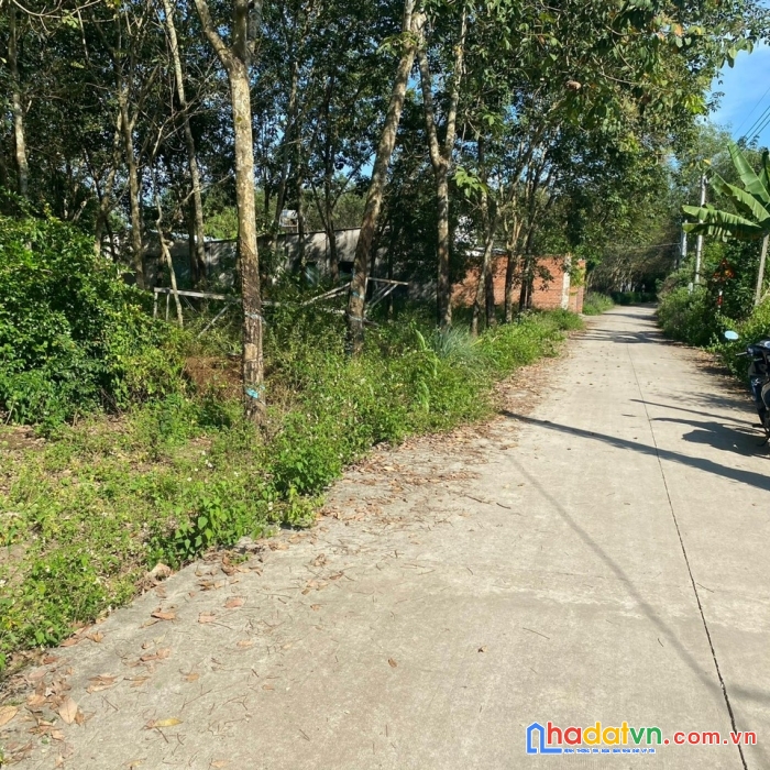 Chính chủ cần tiền gấp bán gấp lô đất nền đầu tư kcn an linh 369m2