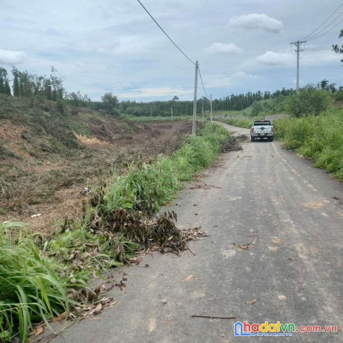 Chính chủ cần bán thửa đất số 214, tờ bản đồ số 64