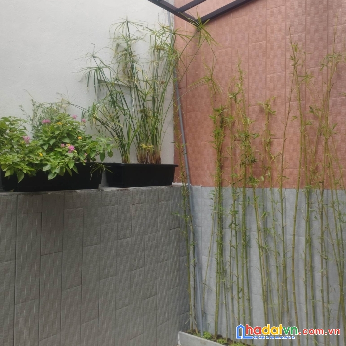 Nhà đẹp xinh trung tâm thanh khê, giáp hải châu, cạnh đường chính, chỉ 2 tỷ x
