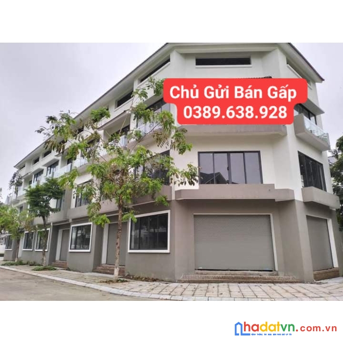 Bán gấp căn lô góc tuyệt đỉnh khu a gleximco lê trọng tấn