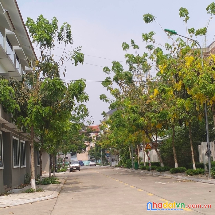 Bán gấp căn lô góc tuyệt đỉnh khu a gleximco lê trọng tấn