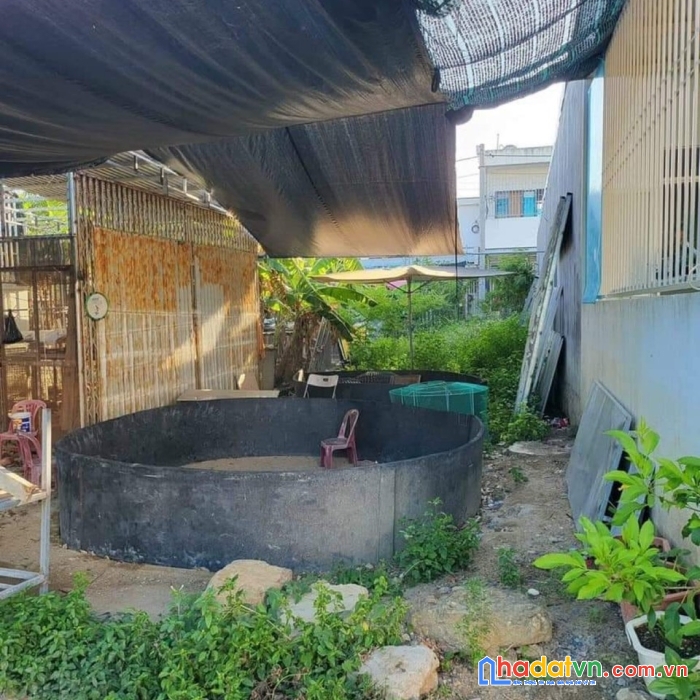 Bán đất phú bình, vĩnh thạnh giá chỉ 1 tỷ 320tr