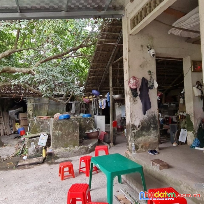 Phát mại đất văn tự, huyện thường tín, hà nội ( gần chợ tía) - 193m2,  miễn mg, nhỉnh 400 triệu