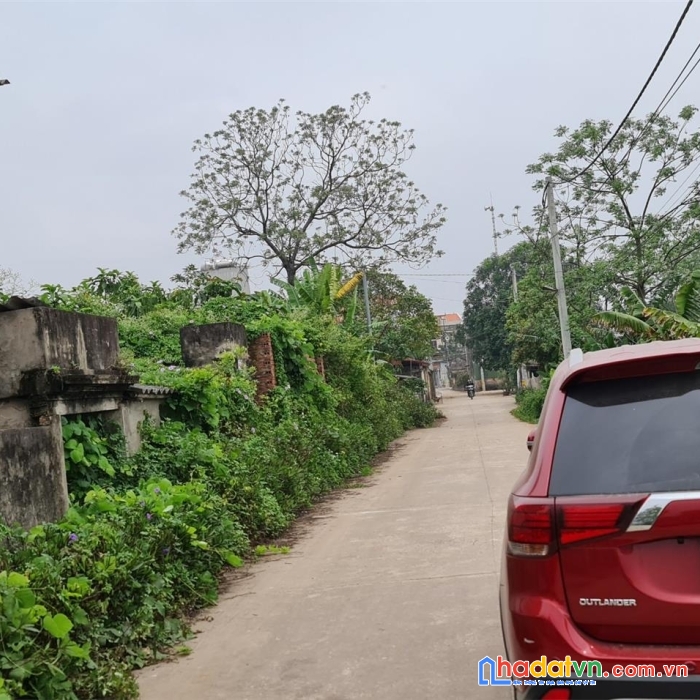 Phát mại đất văn tự, huyện thường tín, hà nội ( gần chợ tía) - 193m2,  miễn mg, nhỉnh 400 triệu