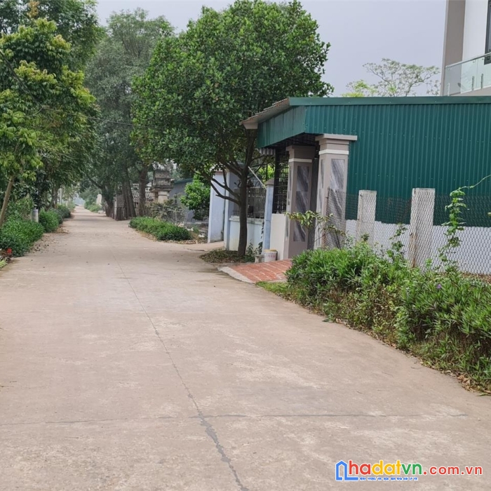 Phát mại đất văn tự, huyện thường tín, hà nội ( gần chợ tía) - 193m2,  miễn mg, nhỉnh 400 triệu