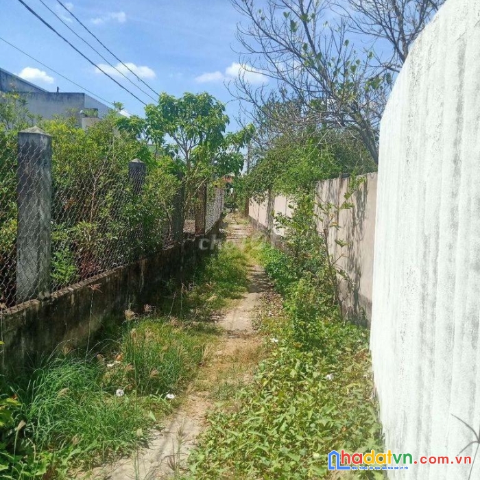 Chính chủ bán gấp đất 2 mặt tiền vị trí đẹp tại xã quê mỹ thạnh, huyện tân trụ - long an