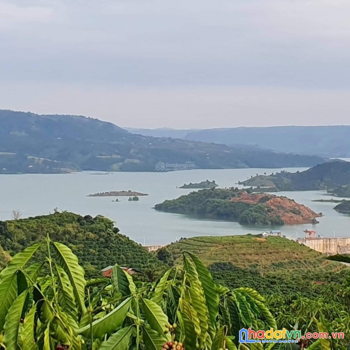 Đất view sông đồng nai, nhà đang làm vườn cần tiền lo cuộc sống nên bán rất gấp. chính chủ đăng tin