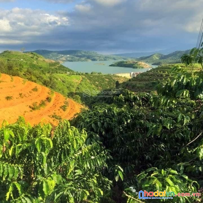 Đất view sông đồng nai, nhà đang làm vườn cần tiền lo cuộc sống nên bán rất gấp. chính chủ đăng tin