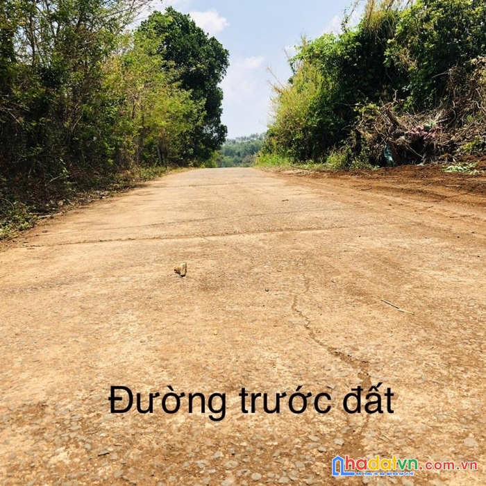 Mở bán 18 lô đất mặt tiền tỉnh lộ 697c quy hoạch mở rộng 27m tại krông búk