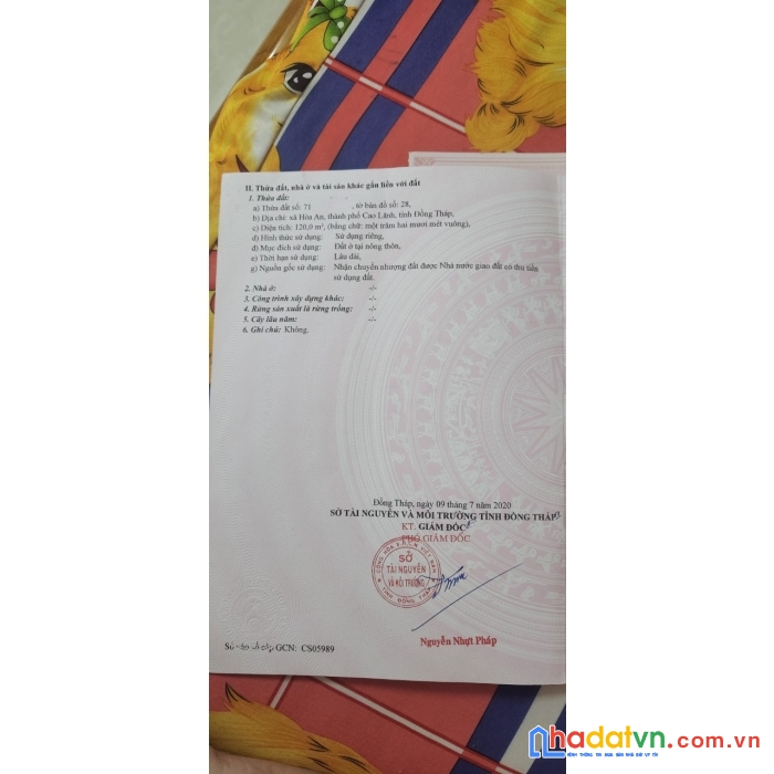 Chính chủ bán nền thổ cư vị trí đẹp tại xã hòa an, tp cao lãnh đồng tháp