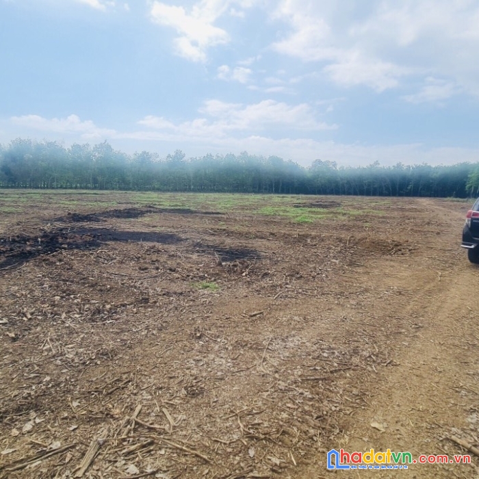 Đầu tư đất vườn sổ hồng riêng tây ninh - chào đón sự giàu có và thịnh vượng chỉ với 384 nghìn / m2