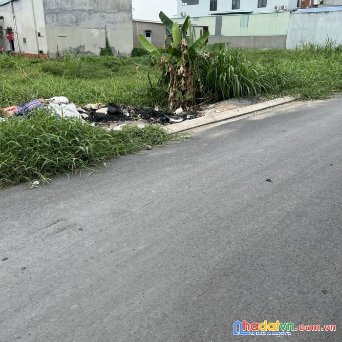 Đất mới tách sổ, đông thạnh hóc môn, giá rẻ nhất thị trường