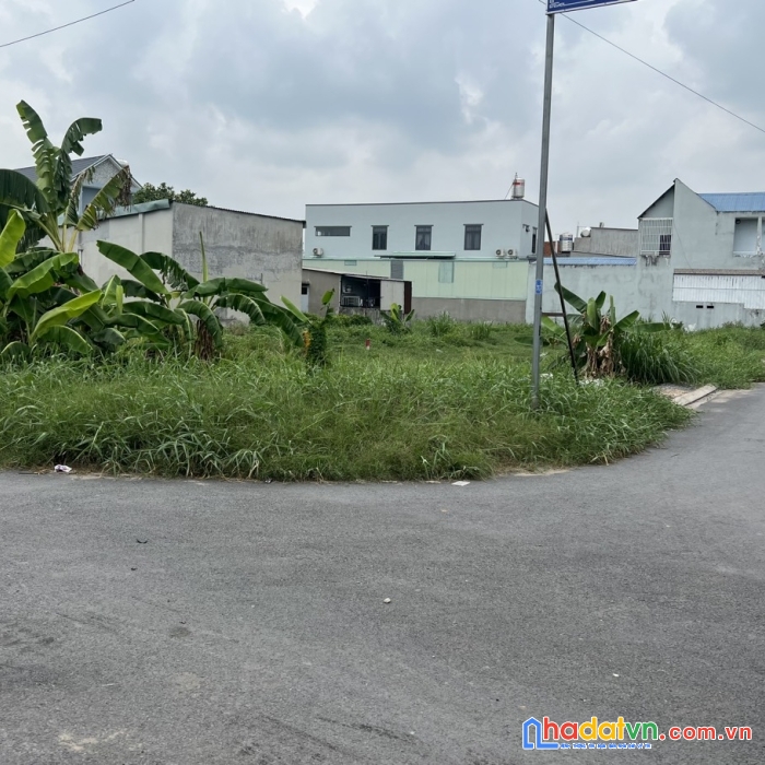 Đất mới tách sổ, đông thạnh hóc môn, giá rẻ nhất thị trường