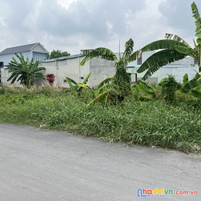 Đất mới tách sổ, đông thạnh hóc môn, giá rẻ nhất thị trường