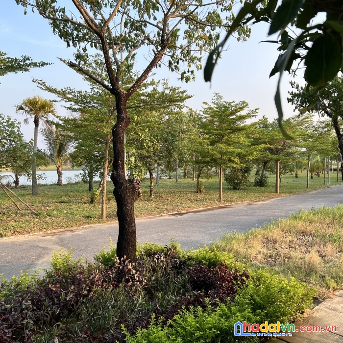 Lô đất 108m2 kẹo cây xanh fpt