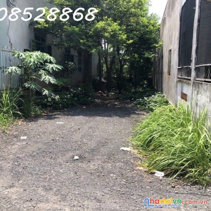 Bán đất phước bình long thành, dt 5x20,40 tc gần kcn gò dầu ql51. lh 0908528868