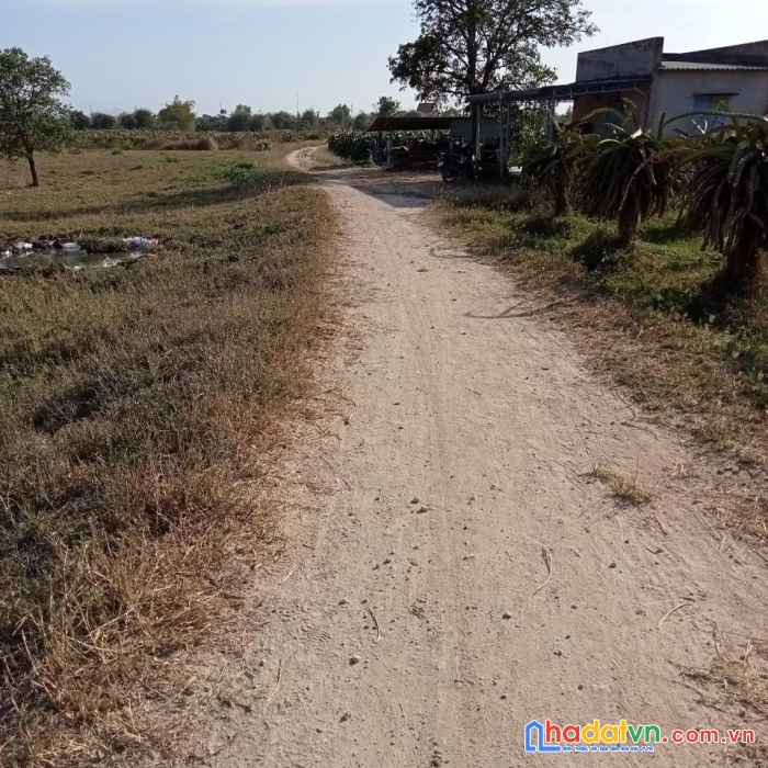 Chính chủ cần bán gấp lô đất vị trí siêu đẹp – giá đầu tư tại hàm hiệp