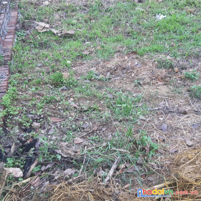 Chính chủ cần tiền gấp bán gấp lô đất thổ cư, đã có sổ 91m2