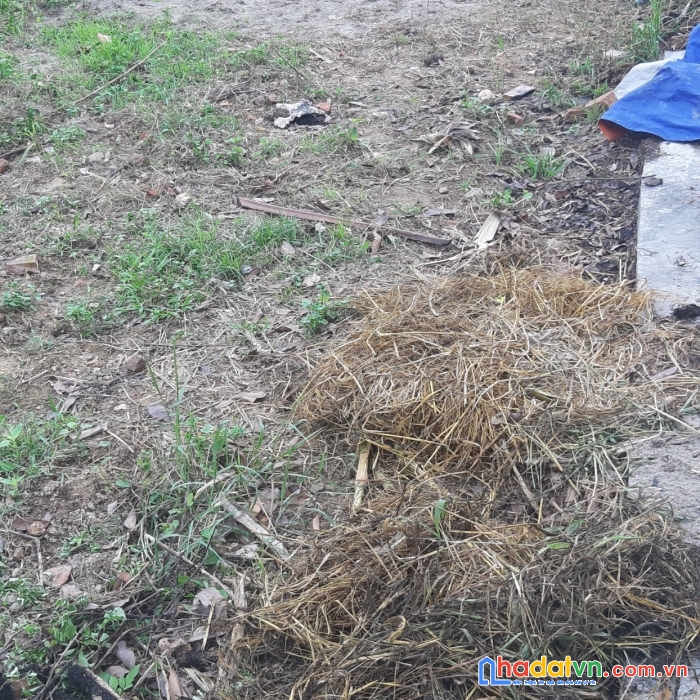 Chính chủ cần tiền gấp bán gấp lô đất thổ cư, đã có sổ 91m2