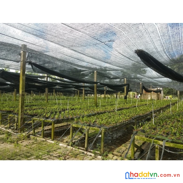 Chính chủ cần bán đất long an 1000m2 10 tỷ