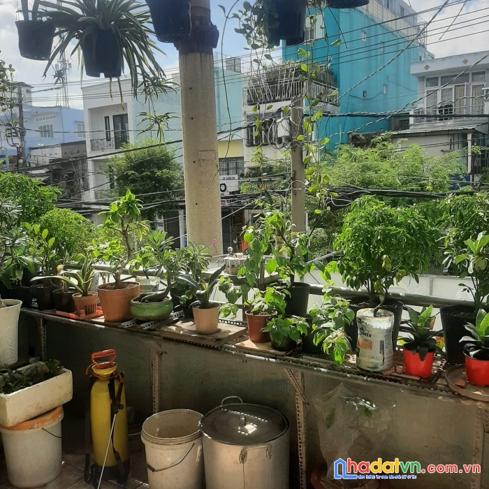 Nhà dương bá trạc f1.q8 (4*16   :7  tỷ 6