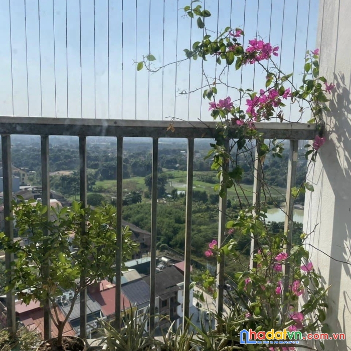 Chung cư an bình tower 521 cổ nhuế, 49m2, 1.25 tỷ