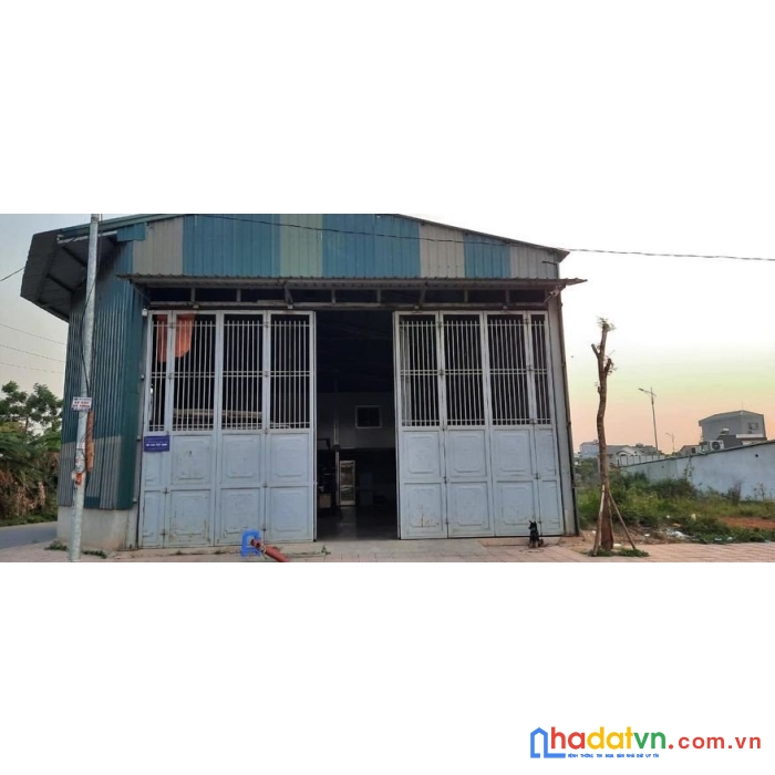 Chính chủ cần cho thuê kho xưởng để làm xưởng sản xuất, kinh doanh, tại khu hán lữ, khai quang